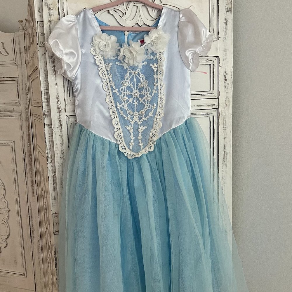 Blue Princess Dress Costume Size 5T